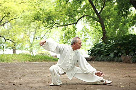 传人释读太极拳|太极拳进阶的便捷之门——单式操练法