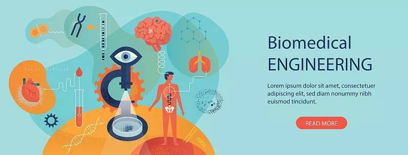 胚胎干细胞 新进展,胚胎干细胞移植治疗缺血性心脏病的可能机制