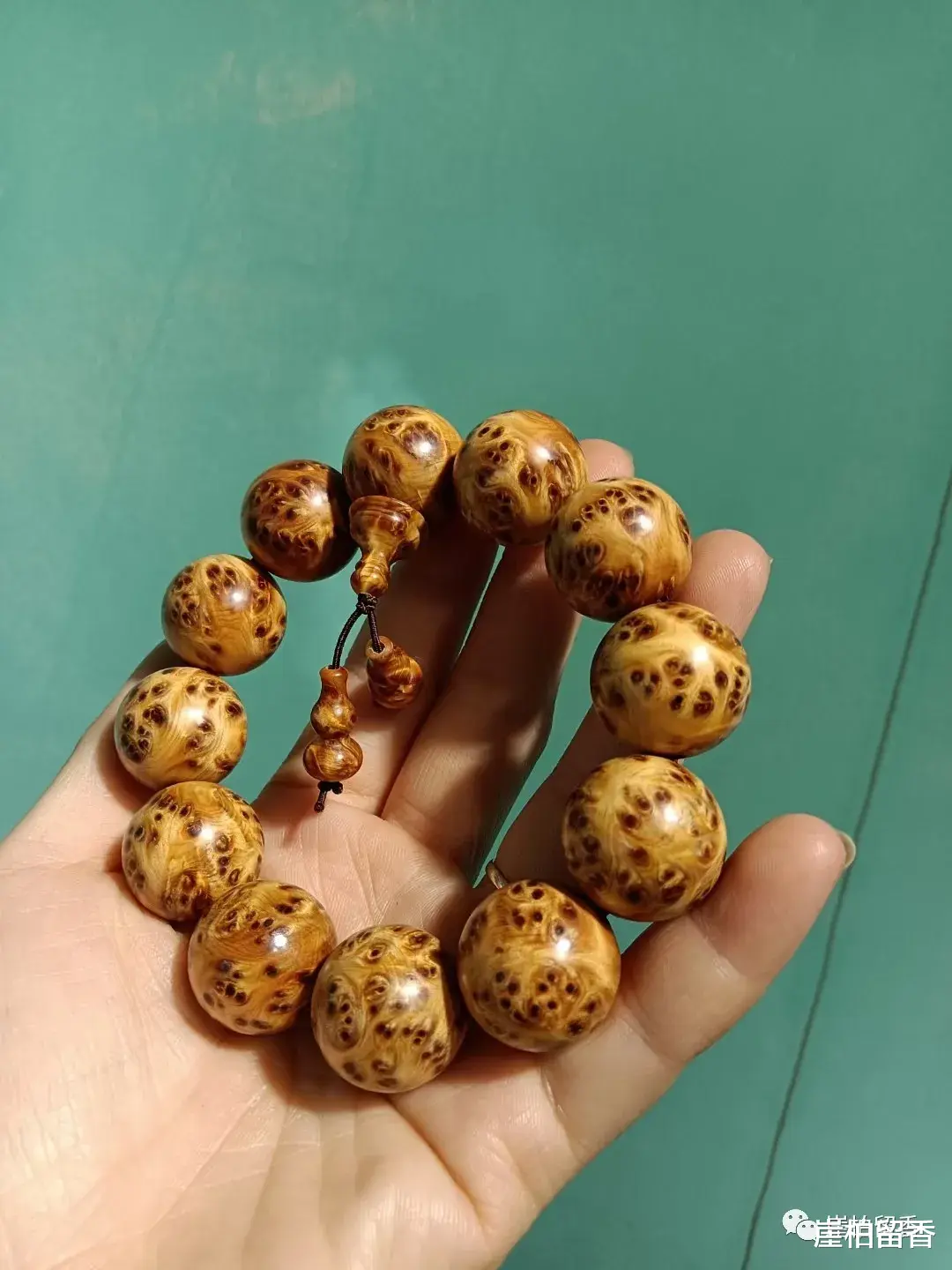 |为何说太行崖柏是木头中的王中王呢？