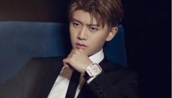 任嘉伦|对于任嘉伦，失望谈不上，但是好感度确实真的在下降