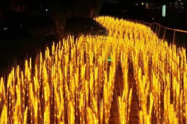 东方今报 赏花灯、猜灯谜、看花展、观晚会...元宵节游玩好去处给您整理好了