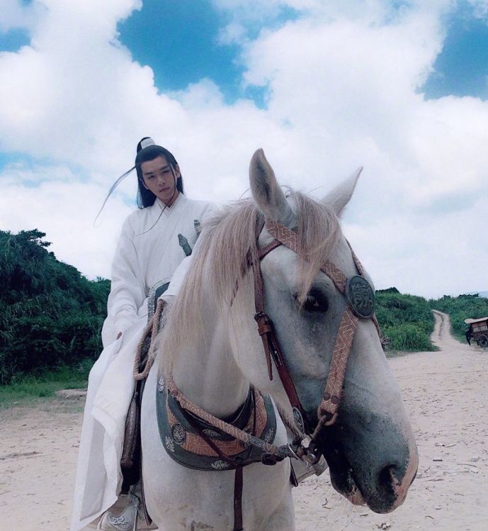 雪中悍刀行|《雪中悍刀行》删减集数，临播前网传过审被卡，还能如期追剧吗？