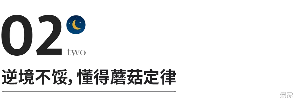 惊人的三个强者定律:青蛙定律、蘑菇定律、跳蚤定律