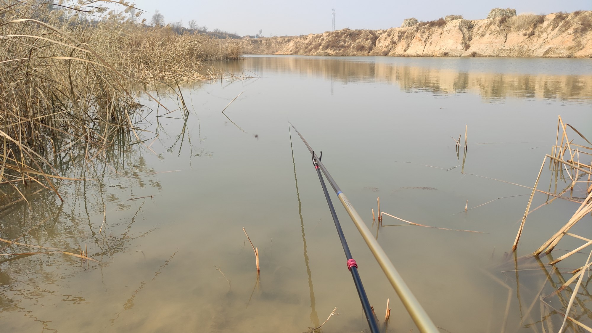 鲤鱼|高价渔具真的好吗?也许其他物品是的,但渔具就未必是贵的好