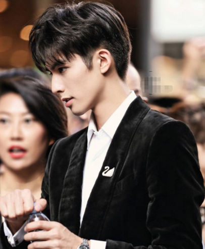 肖战|娱乐圈最具“巴掌脸”的15大男星，肖战垫底，榜首帅到不像样