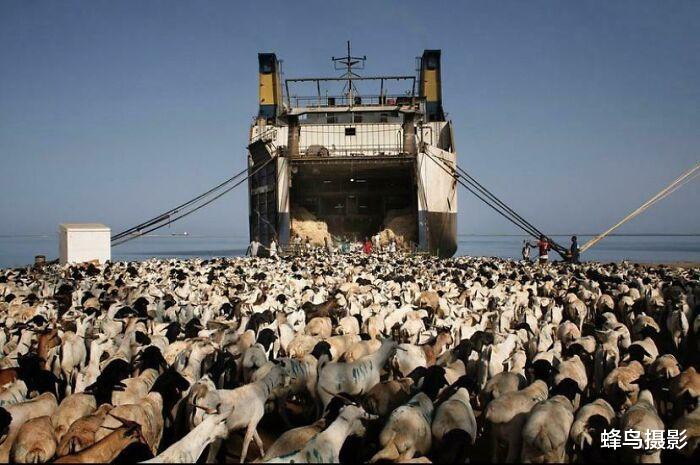  40张一眼会看错的照片，图3至少看三遍否则看不懂，大脑欺骗了你