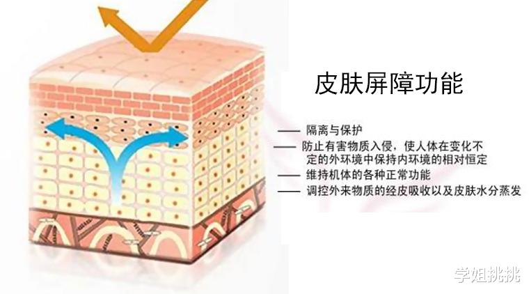 面霜|我见过皮肤细腻、有光泽的人，只用面霜就够了