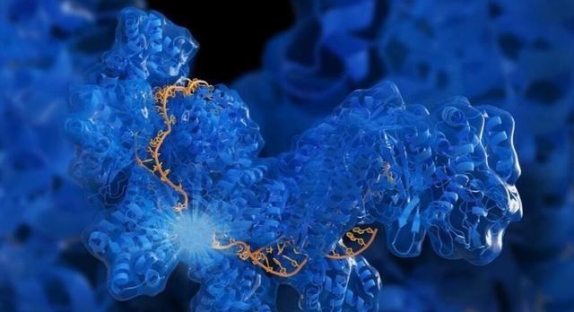 科学家 疯狂科学家为获永生,大胆注射350万年前猛犸象细菌,结果如何?