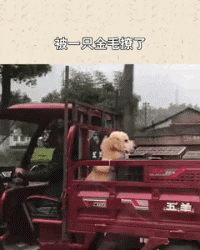 按摩|若在按摩店偶遇女大童鞋,她装作不认识我,这种情况要主动说话吗?