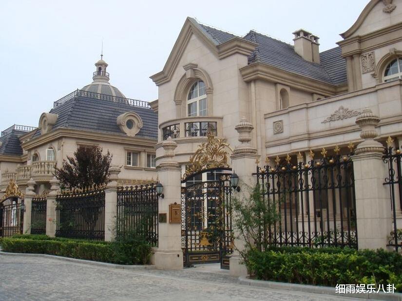 湖南卫视|被封杀后，赵薇的海外资产被曝光，你根本想象不到它有多奢华