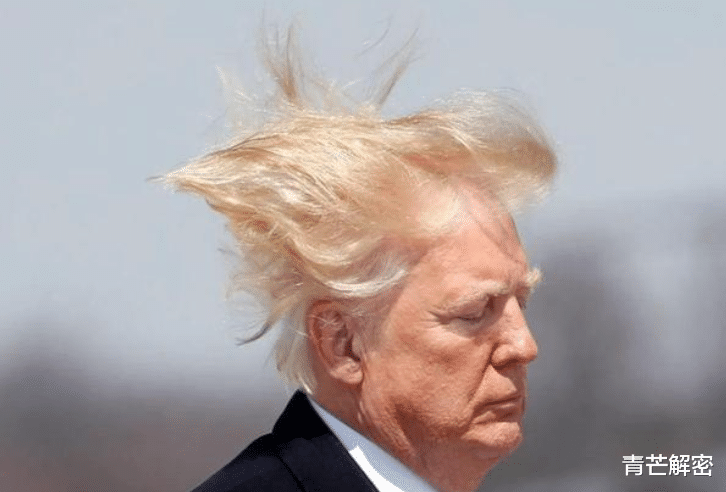 青芒解密 终于,特朗普放手一搏!
