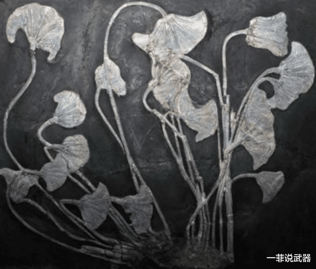 中国航天 地球文明一直在循环？俄罗斯发现一块“芯片”，距今已2.5亿年