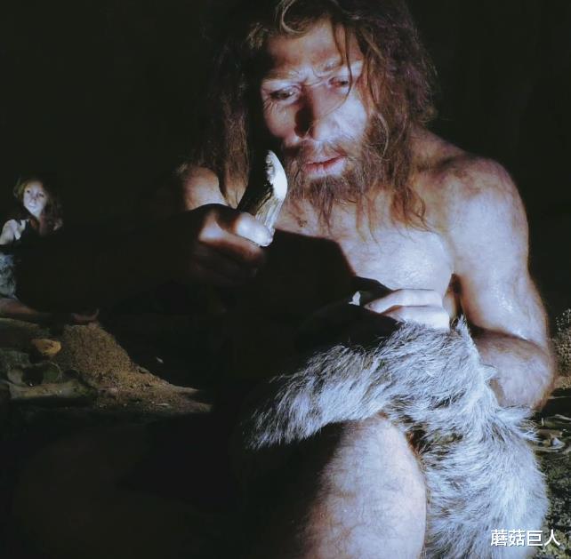 金字塔 异星人的黑幽默,星际之门拯救史前人类,人类还能相信历史吗?