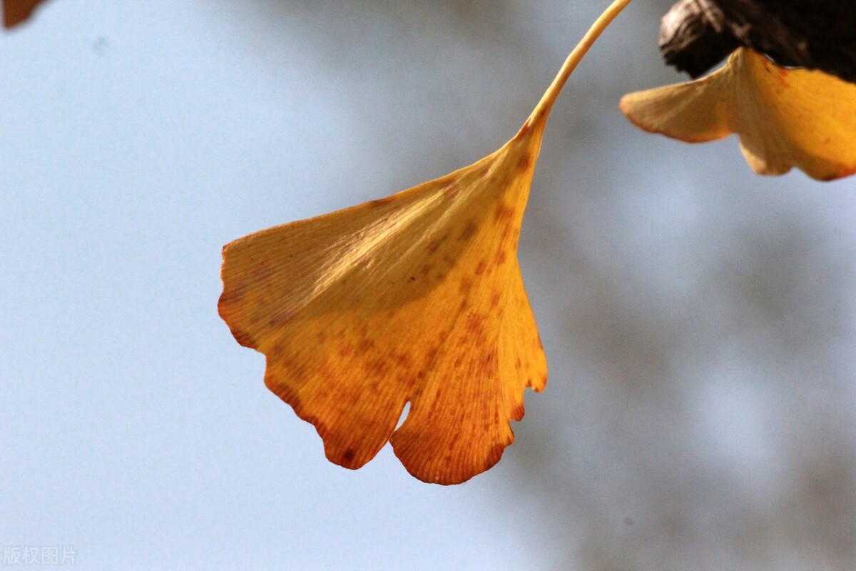创业|懂得“示弱”，是职场奋斗的大智慧