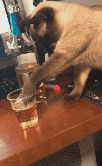 咸蛋的小姐 “看到老婆活动的照片,我很不高兴”要小心她的男同事了,哈哈哈