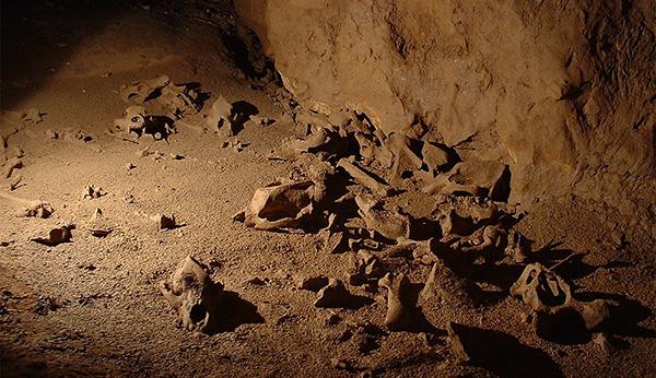 火星 如果火星上发现“灭绝生物”会怎样？这个发现，对人类有什么影响