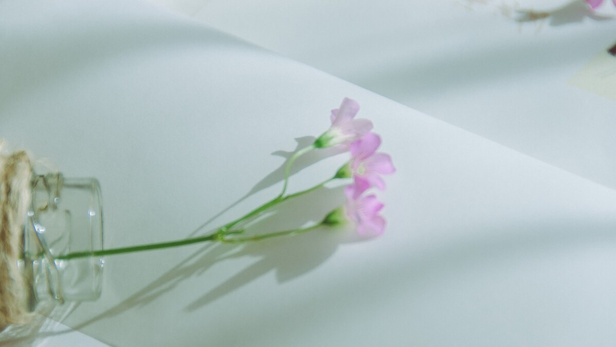 雯文情感屋|女人退休了，为什么还会去婚外找男人呢？2个女人说出了大实话