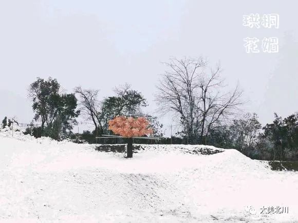 |绵阳北川下雪了，欢迎来撒欢！