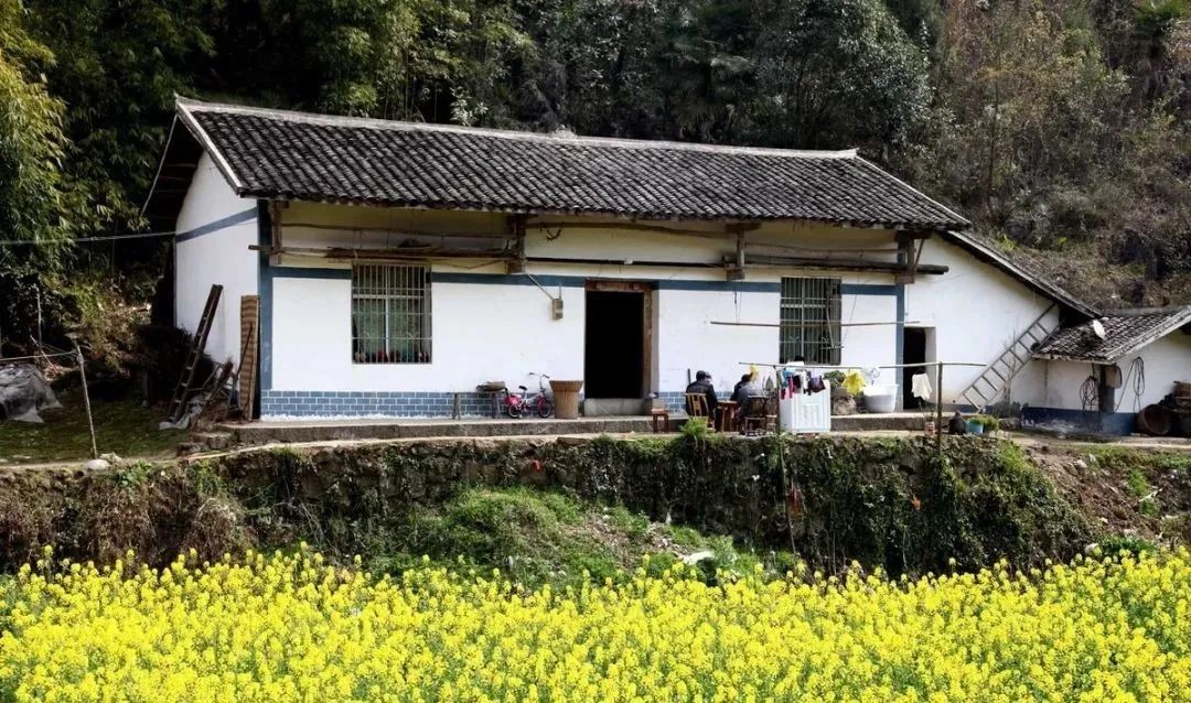 别墅|农村住宅一定要选对方位，风水宝地可别让人抢走了，不然你就哭吧