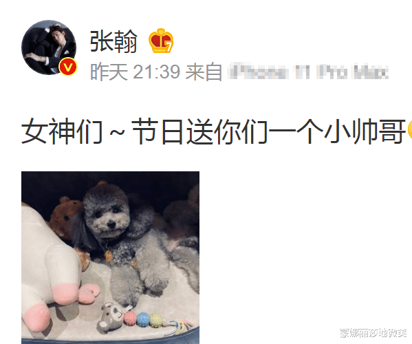 张翰|张翰深夜晒异性照片，引起粉丝猜测：这是要和好了吗？