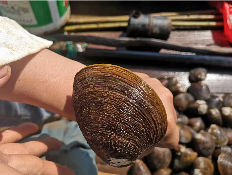 晋江|海钓筏仔遇到大鱼，被连切三副子线，大货上水后惊呆全船人