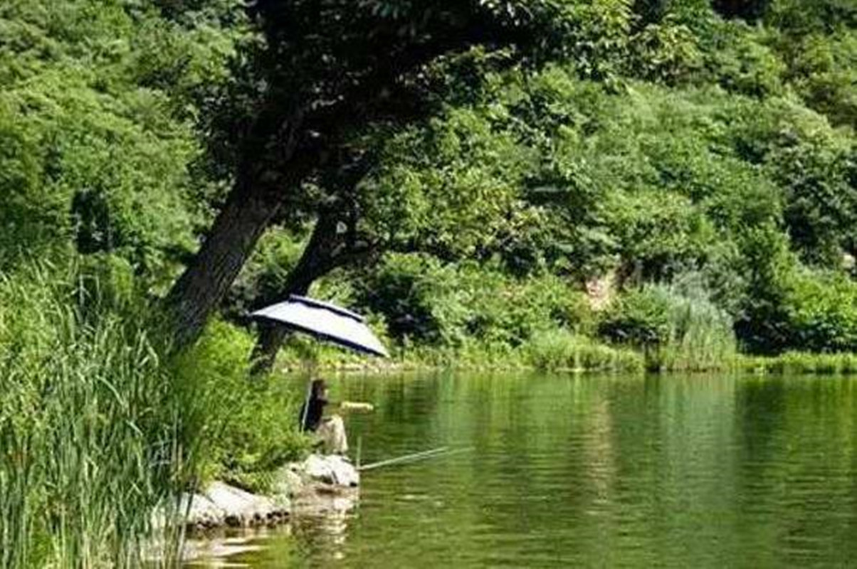 钓鱼|二十四节气钓鱼谚语