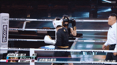 夏之光|综艺天花板!明星集体打起来了!