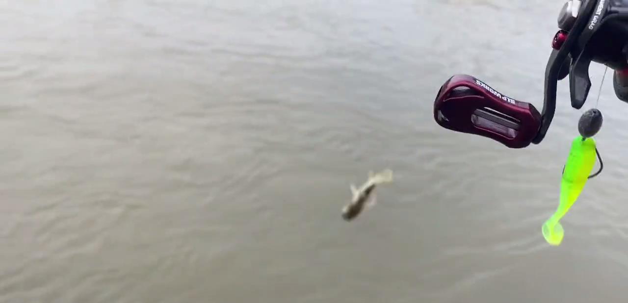 |10分钟钓几十斤鳜鱼、翘嘴鱼？江西钓友晒渔获引热议