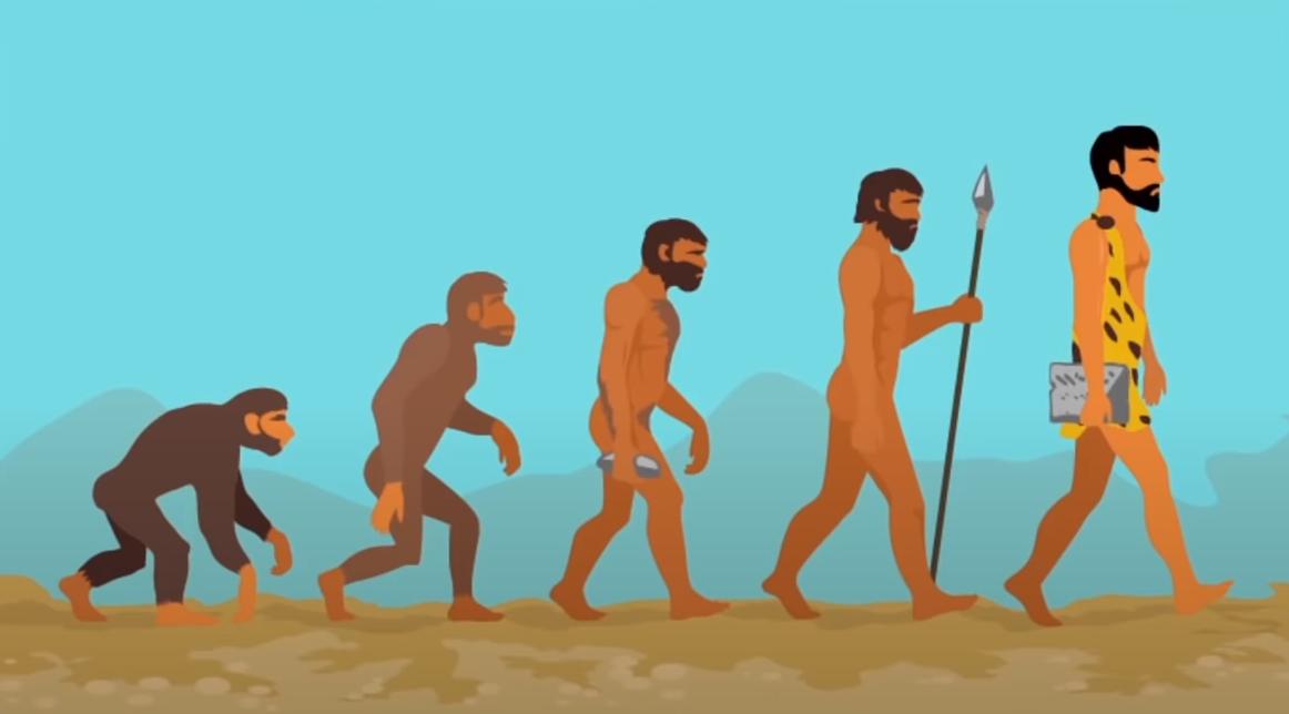 驯鹿 10个流传很广的谎言，你还在相信吗？