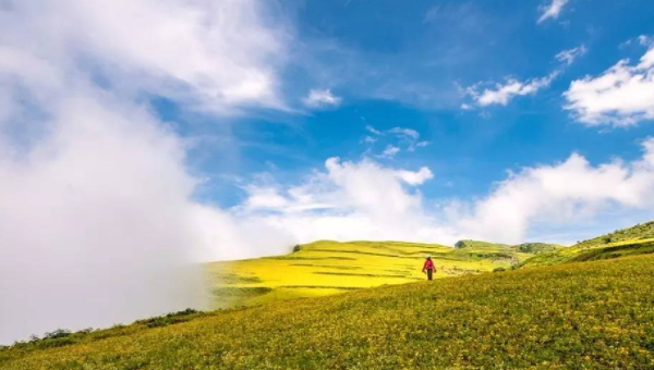 萌听小c姐|四川宜居胜地攀枝花，冬暖夏凉，房价还不高，适合北方人养老