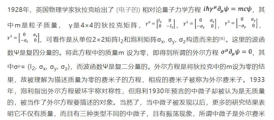 纳米材料 外尔：闯入物理瓷器店的数学家大象丨贤说八道