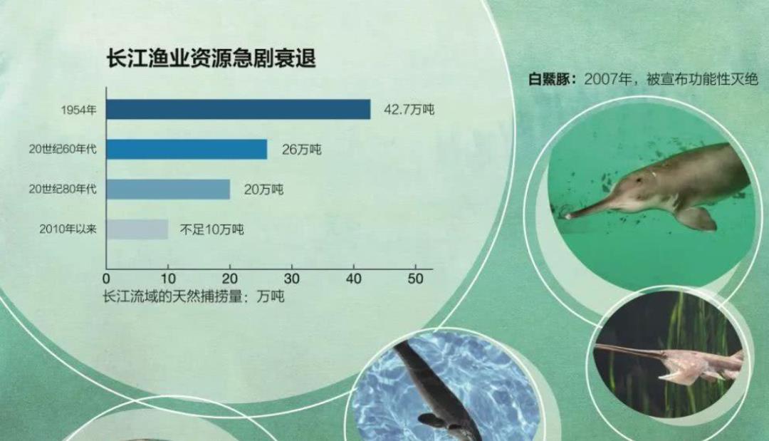 情微说 长江无鱼之困：再不保护“四大家鱼”基因库，我们将无鱼可吃