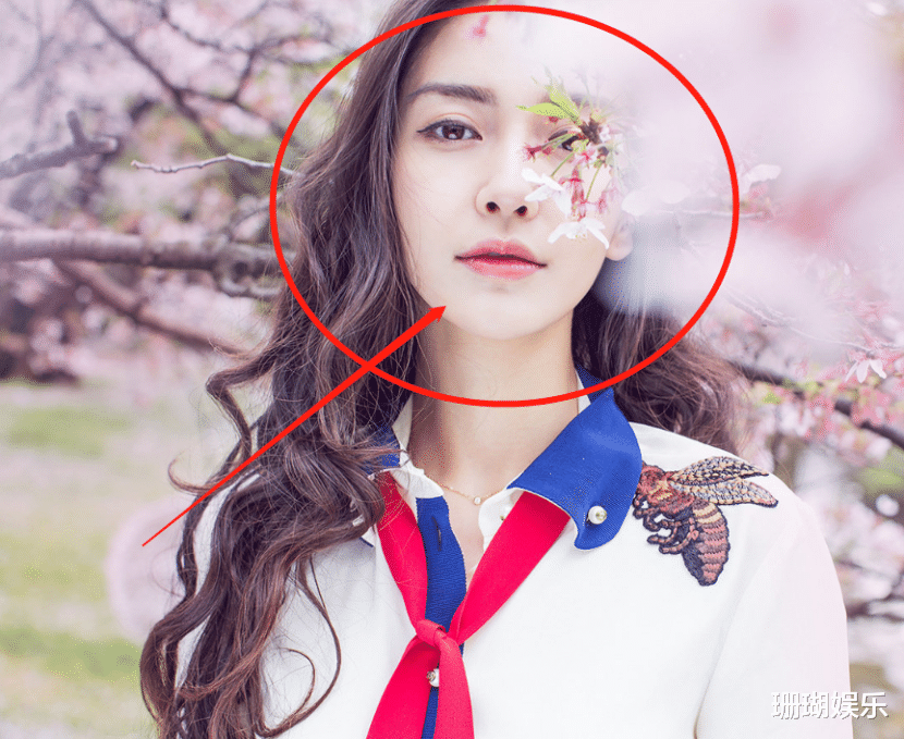 Angelababy|baby带小海绵看樱花被偶遇，路人抓拍镜头下，baby的腿围我却看愣了