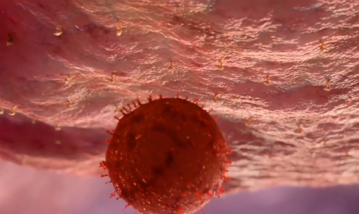 三体|关于病毒的真相，我想用“平衡”两字告诉你答案