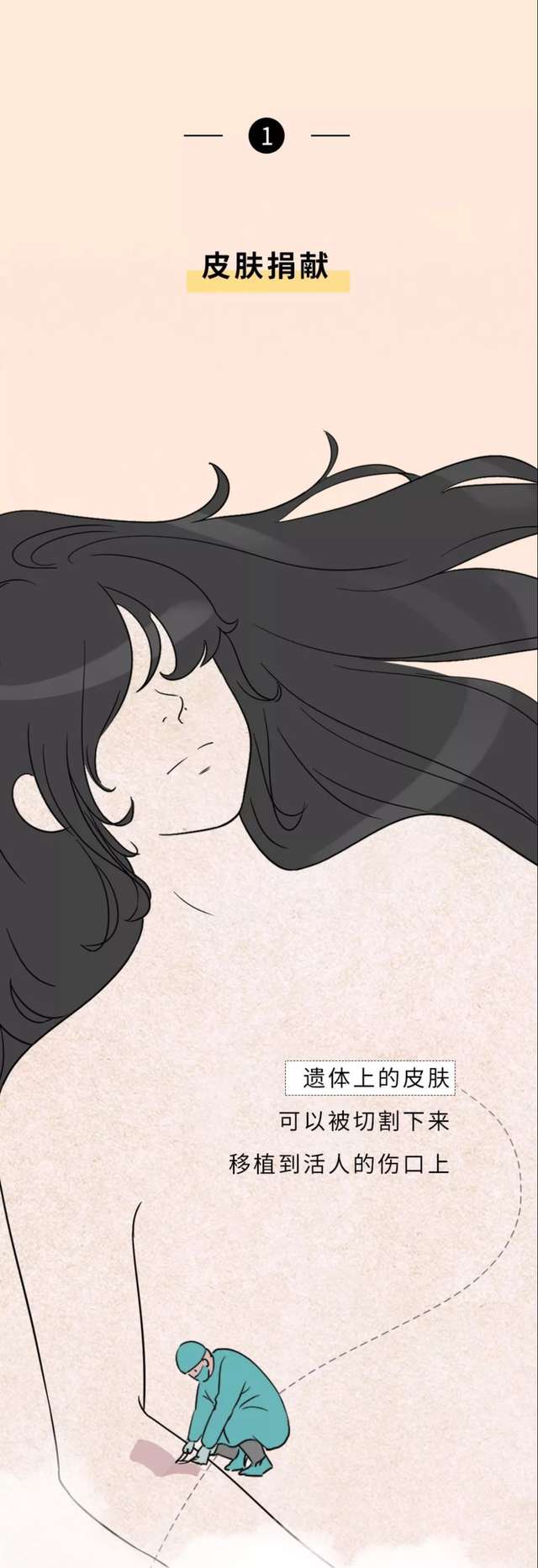  人类在死亡之后，如何处理尸体，才能发挥最大的价值？