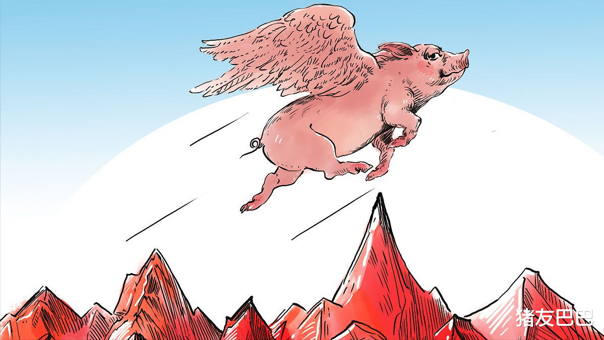 生猪价格 4月21日，猪价“涨翻天”，产销倒挂凸显，猪价涨势或戛然而止！