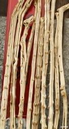 富哥爱收藏 农村里的老人们做拐杖为什么不用枣木呢?