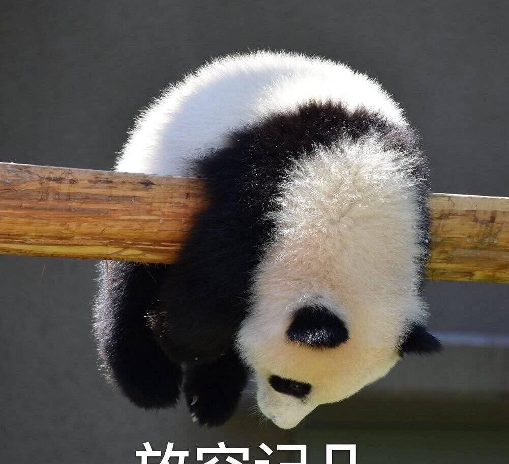 阿尔法|年近50岁的张惠妹暴瘦60斤，大饼脸成为过去式，其成功贵在坚持