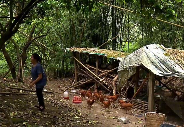 大妈借遍亲戚花20万买房,新房装修在即,却发现房子被转卖给他人