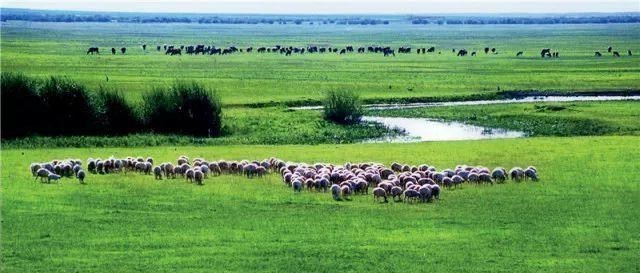 涠洲岛 8个国内人少景美的地方，这些都是6月应有的模样，每帧都美成屏保