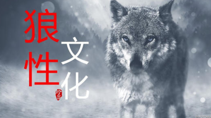 穿衣搭配|变了味的狼性文化，如今不过是职场内卷的遮羞布罢了