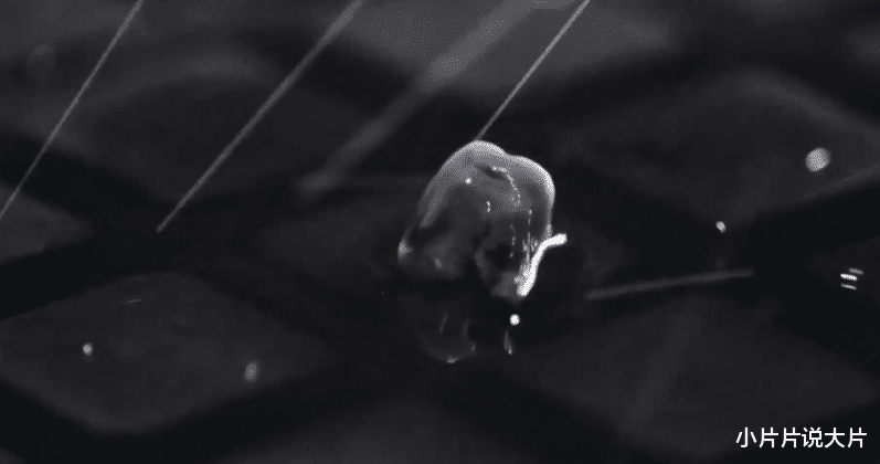 迪丽热巴|尺度爆表，题材生猛，年度黑马港片就是它！