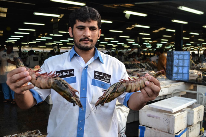 少明科学|迪拜富裕到了什么程度?看过他们的菜市场之后,就明白其中差距了