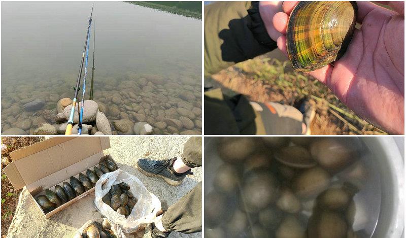 湛江|生态好了？湛江钓友小河里挖出许多河蚌，网友：煮一次臭三天