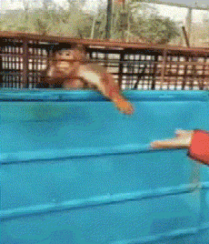  姑娘穿紧身裙注意点，一不小心就会原形毕露，亮点都被暴露了！