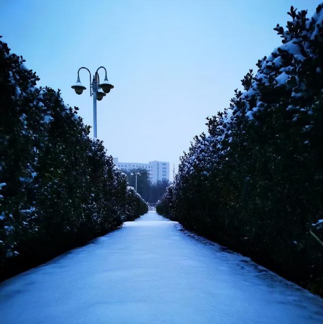 南京地铁|寒潮+大风+暴雪黄警！今冬初雪比常年提前23天，一波雪景美图来了→