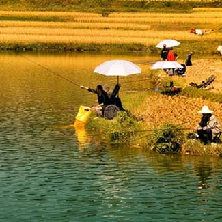 饵料|常见却很有用的钓鱼技巧，学会了让你成为钓鱼高手。——盛世三渔