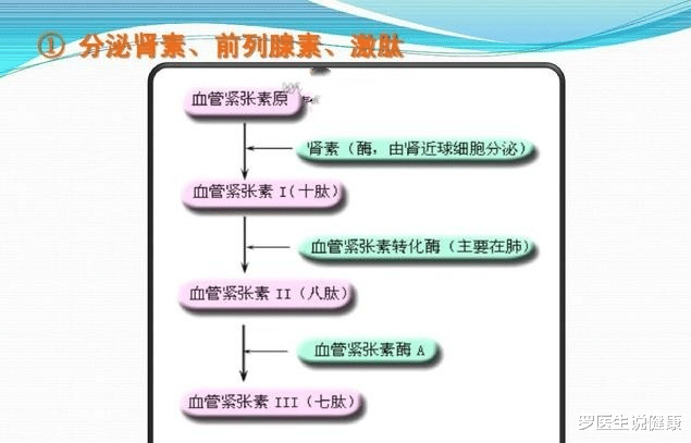 罗医生说健康 肾脏有这三大功能，肾不好会出现这五种异常信号，医生建议收藏好