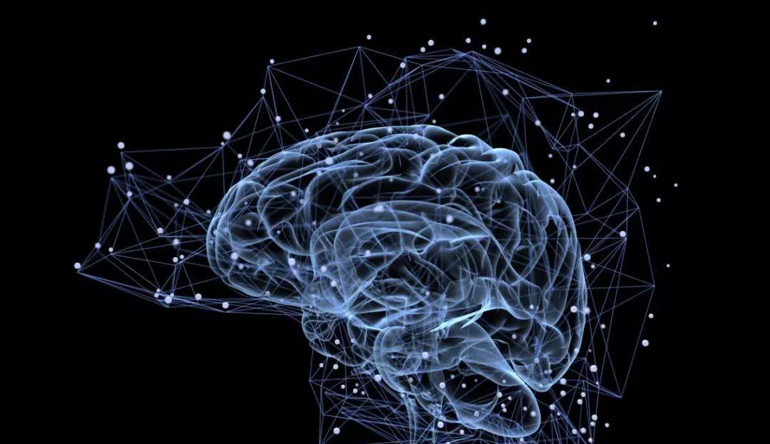  我们有没有可能活在巨兽体内？就像人体内的细胞一样