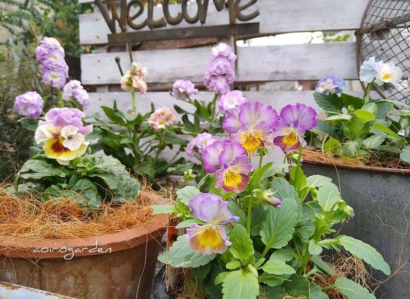 家住一楼,花5万元改造一楼40㎡院子,ins风的花园设计,太美啦